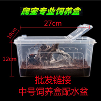 Reptile box breeding box gecko gecko spider horned frog insect turtle player snake anti-escape breeding box