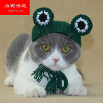 Pet cross-dressing hat Cute frog-shaped wool hat for cats and dogs Customized size and color for large and small dogs