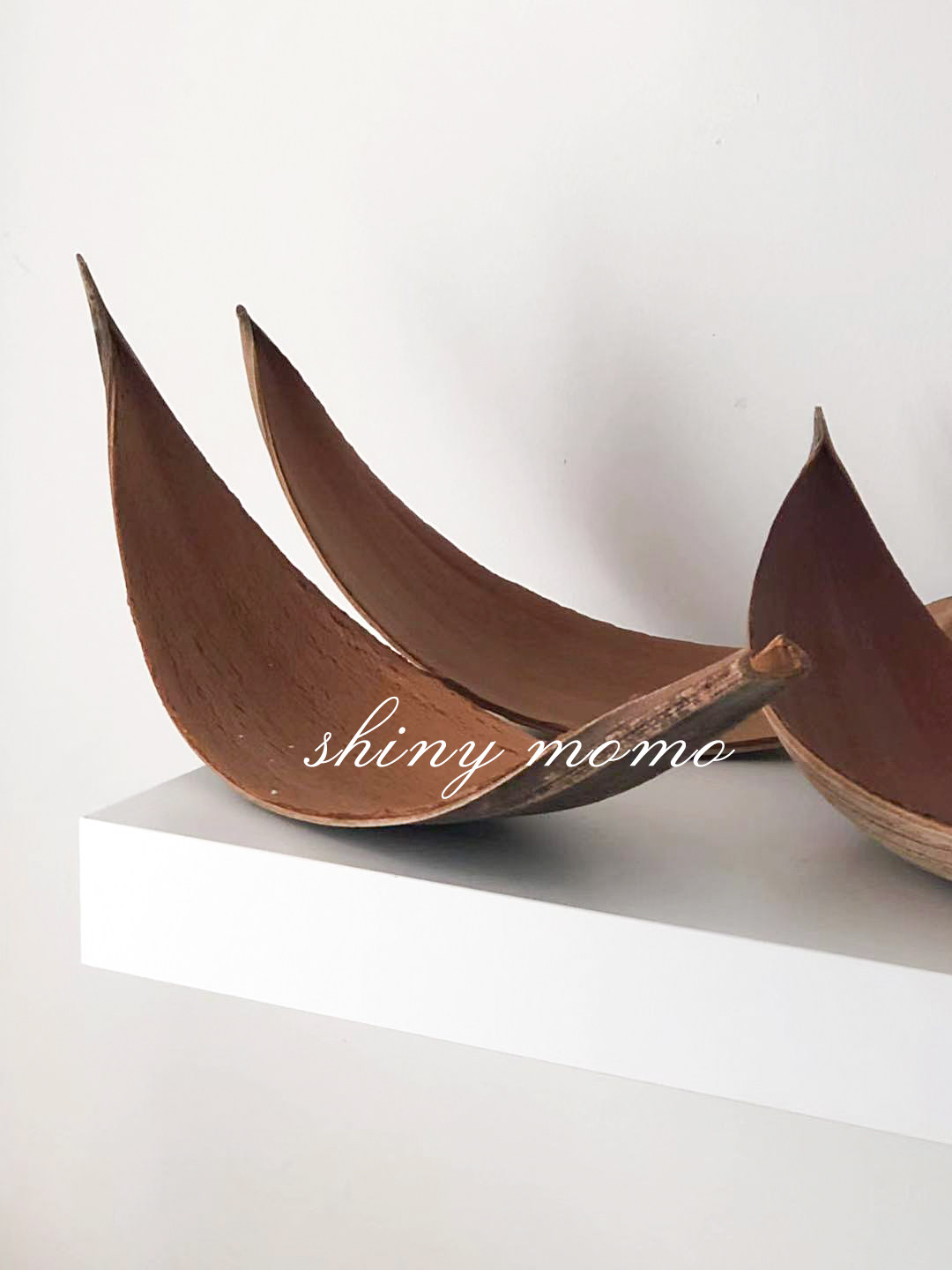 SHINY MOMO import ins niche home natural form decorative ornaments(cost-effective is not high)
