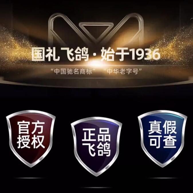 天津飞鸽户外骑行工厂店的LOGO
