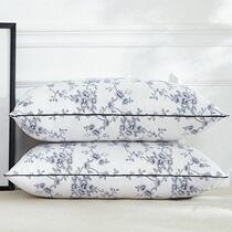 Healthy pillow 48 * 74cm Pillow bed pillows Cheap pillow