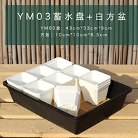 12 из YM03+белый 10 см.