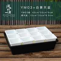 YM03+Baixiao Jingtian Basin 12