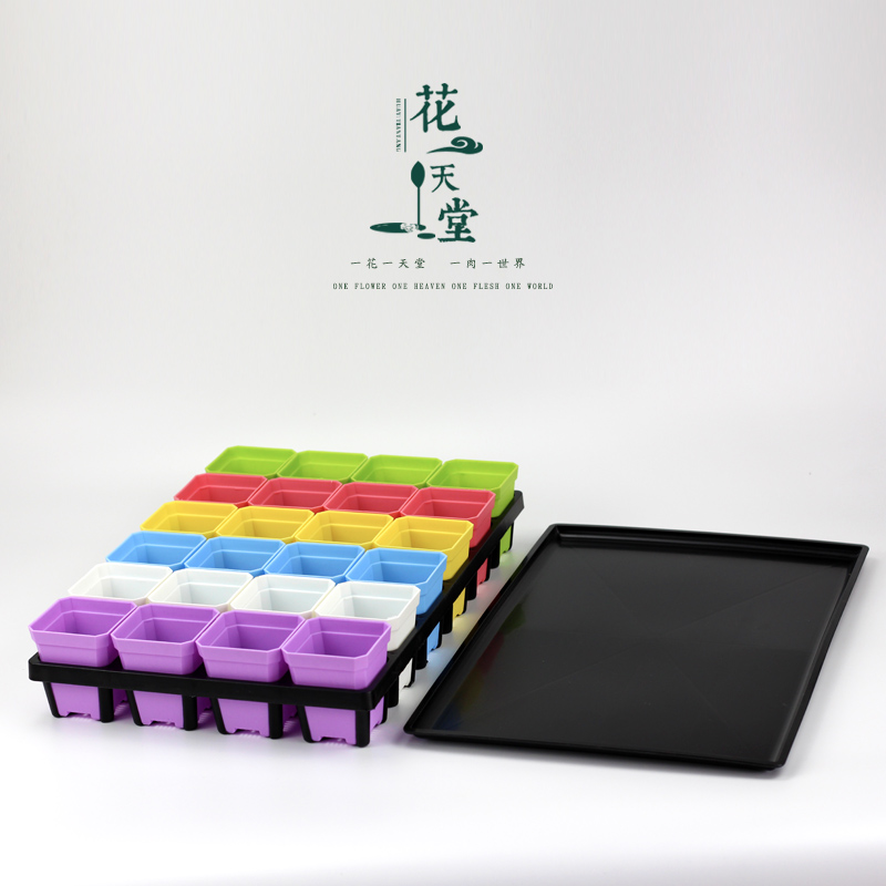 24-cell 7cm square basin tray Meat cone raw stone flower pp seedling planting basin finishing tray tray