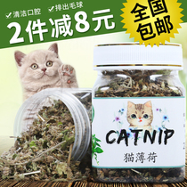 Burton Excludes Hair Ball Cleaning Oral Catnip 220ml Cat Grass Cat Snacks 28 Provinces