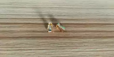 Contact point fuse contact point terminal 5X20 special bulk fuse seat lead shell sleeve small mushroom terminal