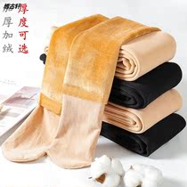 Autumn Winter Beat Bottom Pants Woman Outside Wearing Skin Color Pantyhose Winter Warm Meat Color Naked Light Sensitive Leg God thicken plus suede