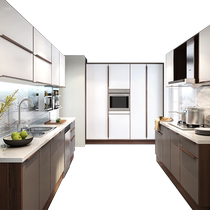 Zhibang kitchen cabinets custom-made integrated kitchen cabinets modern and simple matte glass door panels modern