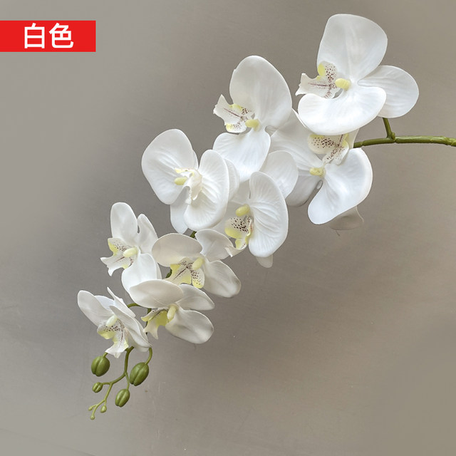 Simulated velvet ນ້ໍາ Phalaenopsis ສູງ simulation ແບບຈີນ Phalaenopsis wedding ຖະຫນົນຊັ້ນນໍາດອກໄມ້ສິລະປະເຮືອນຕົບແຕ່ງໂຮງແຮມ