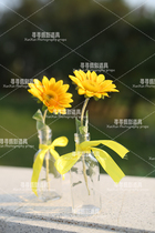 Creative wedding photography props inserted in vase shadow building location shooting props brigade wishing bottle inserted in 18 yuan a pair