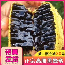 Yunnan Black Honey pure natural rice group nectar nectar Alpine Black Honey Wild hundred nectar rare medicine honey new honey down the mountain