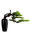 Artificial Plant Bonsai Gourd Vase Welcoming Pine Fake Tree New Chinese Style Living Room Decoration Entrance Hallway Floor Decoration