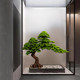 New Chinese-Style Artificial Pine Tree, Welcoming Pine, Arborvitae, Indoor Staircase Landscape Decoration, Green Plant Bonsai Ornament