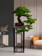 Large Artificial Welcoming Pine Green Plant Floor Decoration for Entrance, Hotel, Living Room, Hallway, Fake Tree Bonsai Potted Ornament
