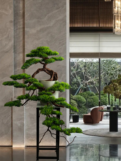 Living Room Solid Wood Artificial Welcoming Pine, Living Room Green Plant Black Pine Bonsai, Chinese Restaurant Five-Needle Pine Plant, Arborvitae Ornament
