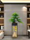 Simulated Welcoming Pine Tree Floor-Standing Ornament, Large Green Plant Bonsai, Hotel Living Room Villa Decoration, Housewarming Gift