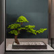 New Chinese-Style Artificial Pine Tree, Welcoming Pine, Arborvitae, Indoor Staircase Landscape Decoration, Green Plant Bonsai Ornament