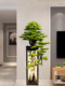 Artificial Welcoming Pine Tree, Fake Green Plant, Floor-Standing Ornament, Hotel Clubhouse Entrance Decoration, Pine Tree, Living Room, Arborvitae Soft Decoration