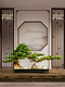 Chinese-Style Artificial Welcoming Pine Green Plant Landscaping Ornament Living Room Bonsai Office Indoor Potted Plant Entrance Table Decoration