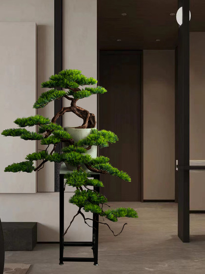 Living Room Solid Wood Artificial Welcoming Pine, Living Room Green Plant Black Pine Bonsai, Chinese Restaurant Five-Needle Pine Plant, Arborvitae Ornament