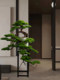 Living Room Solid Wood Artificial Welcoming Pine, Living Room Green Plant Black Pine Bonsai, Chinese Restaurant Five-Needle Pine Plant, Arborvitae Ornament