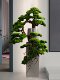 Simulated Real Wood Welcoming Pine Green Plant, Living Room Artificial Tree, Hotel Clubhouse Decoration, Opening Gift, Large Floor-Standing Ornament