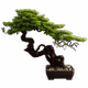 Simulated New Chinese-Style Welcoming Pine Bonsai Artificial Tree Green Plant Living Room Hotel Entrance Decoration Model House Soft Decoration Ornament