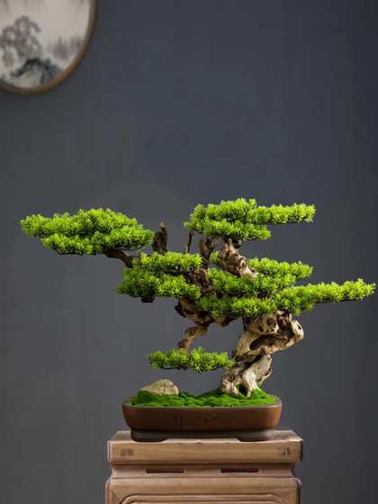 New Chinese-Style Artificial Welcoming Pine Tree for Study Room and Living Room, Fake Tree Bonsai, Desktop Green Plant, Zen Landscape Decorative Ornament