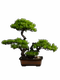 Artificial Welcoming Pine Tree Ornament, Landscaping Rockery, Bonsai, Office, Living Room, Entrance, Home Decoration, Soft Decoration, New Chinese Style