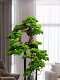 Simulated Real Wood Welcoming Pine Green Plant, Living Room Artificial Tree, Hotel Clubhouse Decoration, Opening Gift, Large Floor-Standing Ornament