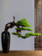 Artificial Plant Bonsai Gourd Vase Welcoming Pine Fake Tree New Chinese Style Living Room Decoration Entrance Hallway Floor Decoration