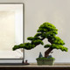 Chinoiserie Simulated Welcoming Pine Green Plant Landscaping Ornaments Living Room Bonsai Office Indoor Potted Plants Entrance Table Decoration