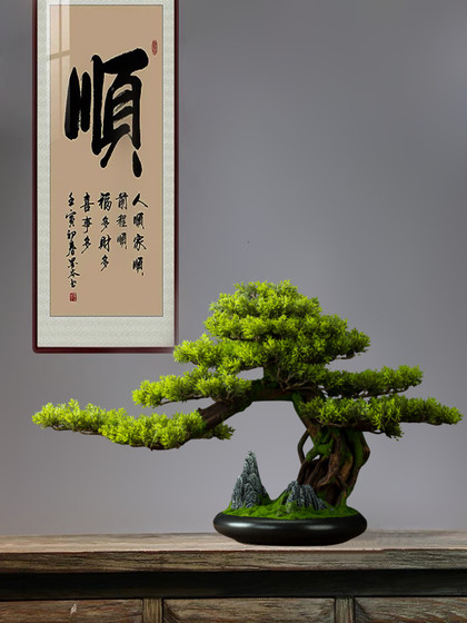 New Chinese-Style Artificial Welcoming Pine Tree Living Room Decoration Tabletop Green Plant Fake Tree Bonsai Entrance Hall Arborvitae Soft Decoration Fake Pine Tree