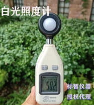 Biaozhi GM1010 digital illuminance meter GM1020 high-precision photometer light lumen meter illuminance meter