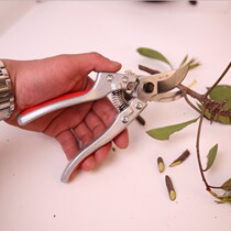 Zhang Xiaoquan scissors Branch scissors Pruning scissors Garden scissors Flower scissors Branch scissors Thick branch scissors Gardening scissors strong scissors