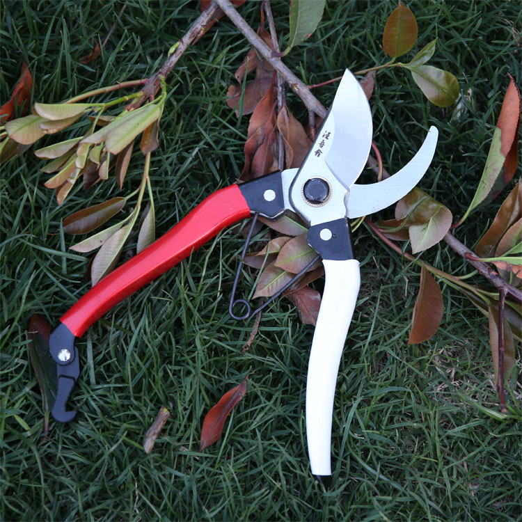 Wang Wu Quan Flower Cut Gardening Scissors Repair Branch Scissors 2202 Home Imported SK5 Coarse Branches Scissors German Fruit Tree Cut