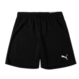 Puma, шорты, летние дышащие штаны для тренировок, для бега, свободный крой
