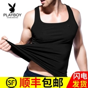 Playboy mùa hè mỏng đáy quần vest nam cotton bó sát tập thể dục cổ vuông vest phiên bản Hàn Quốc của thủy triều - Áo vest cotton