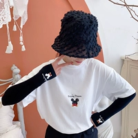 Черное дно Миккиту