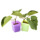 幼儿园小朋友儿童趣味种植diy小盆栽刻字魔豆种子创意迷你小植物 mini 4