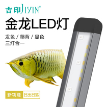  Jiyin Arowana fish light Fish tank LED lighting color-attracting diving light Aquarium waterproof light New golden red dragon special light
