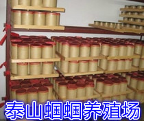 Type of paper Aperitik Paper Barrel Breeding Paper Silo Special with bar with mesh wall thickness resistant to help with metaskin breeding