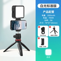 Стандартная версия белого света + настольный штатив + зажимная головка + зажим для горячего башмака