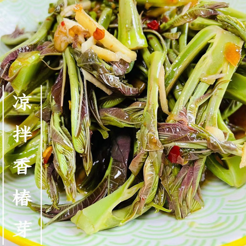 【现做现发】自制即食凉拌香椿芽！野生嫩椿芽酱菜开胃下饭神器，春天的味道直接封神！-香椿芽-淘宝好物网