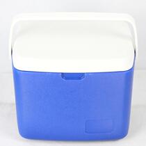 Boutique special promotion 12L EPS PU portable portable incubator refrigerator outdoor barbecue