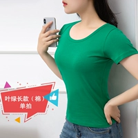 【Длинные】 листовые зеленые короткие рукава