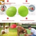 Con chó Frisbee Vật nuôi Chó Đồ chơi cao su Con chó Teddy Đồ chơi Bianmu Golden Retriever Corgi Huấn luyện Frisbee Cắn Kháng - Mèo / Chó Đồ chơi