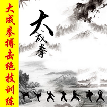 Dacheng boxing fighting stunts and original training methods Traditional martial arts inner home boxing skills non-disc
