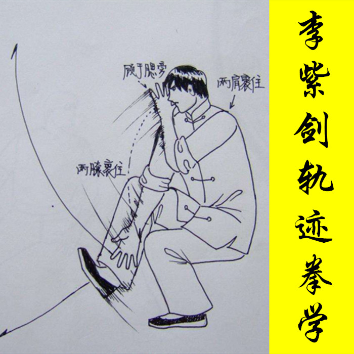 Li Purple Sword Track Boxing Ancestral version of two sets of combined 12VCD non-CD traditional martial arts kung fu