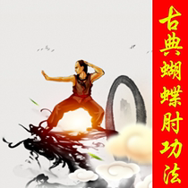 Classical heart desire martial arts Butterfly elbow Kung Fu Traditional martial arts Internal and external boxing Kung Fu